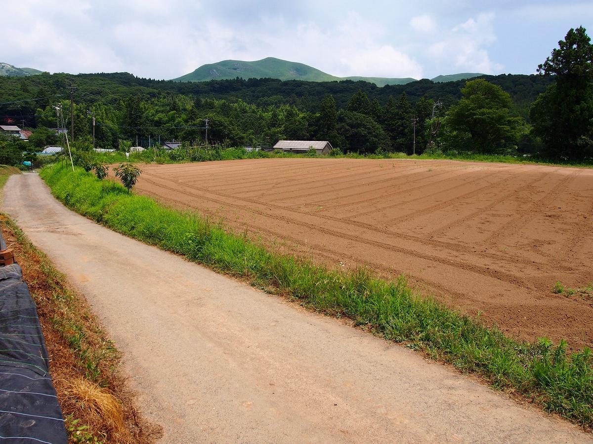 Yamano-Ie Hiraodai Китакюсю Экстерьер фото