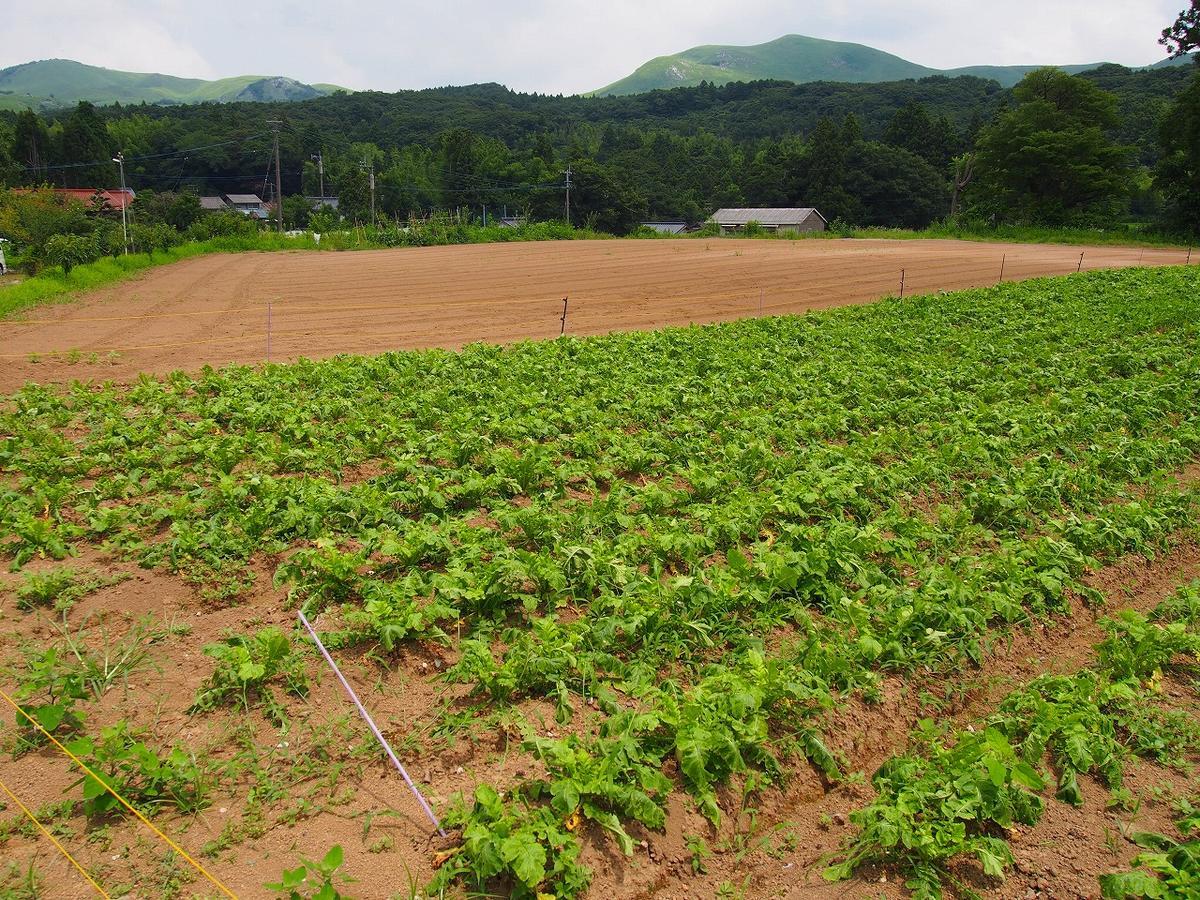Yamano-Ie Hiraodai Китакюсю Экстерьер фото