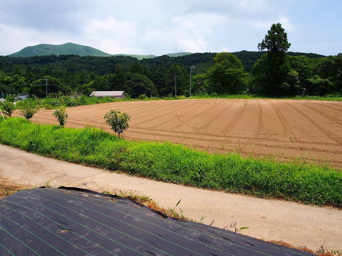 Yamano-Ie Hiraodai Китакюсю Экстерьер фото